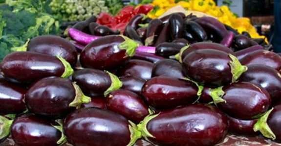 Caderno de microrganismos eficientes (EM)