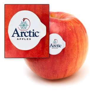 Maçã transgênica será testada nos EUA