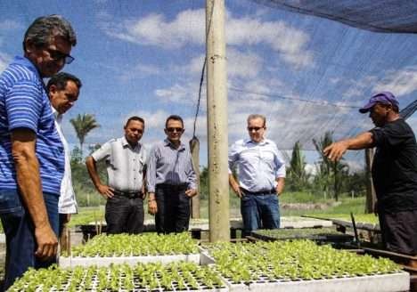 Horticultores de Teresina buscam certificação orgânica