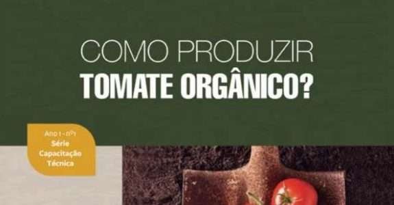Como produzir tomate orgânico?