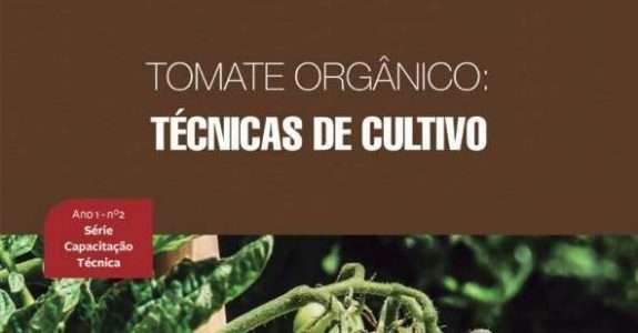 Tomate orgânico: Técnicas de cultivo