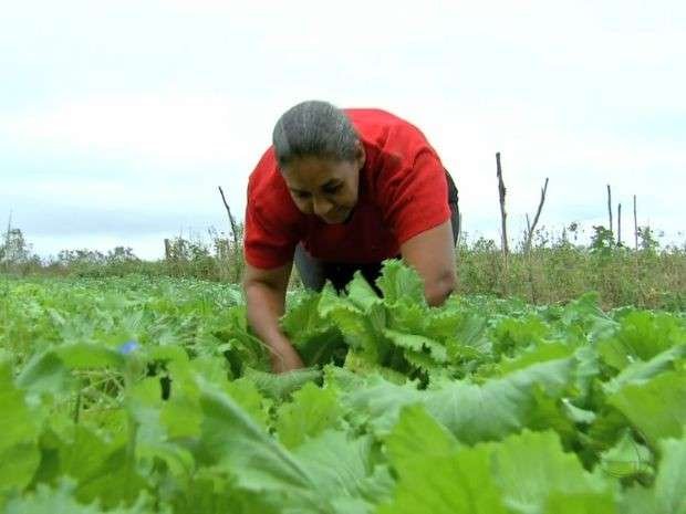 No assentamento Agroana, os produtos agora n&atilde;o t&ecirc;m agrot&oacute;xicos ou adubos qu&iacute;micos (Foto: Reprodu&ccedil;&atilde;o/TVCA)