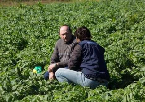 MDA: Brasileiros consomem cada vez mais alimentos orgânicos
