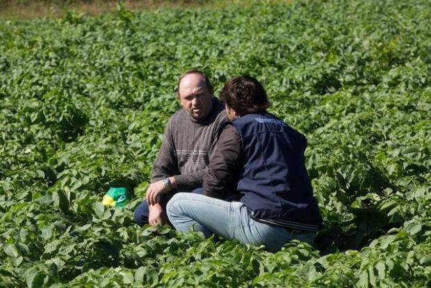 Foto: Tamires Kopp/MDA