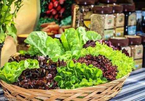 Brasil: potência orgânica?