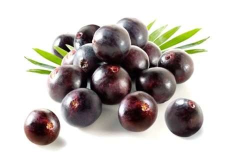 Alta cozinha na floresta amazônica