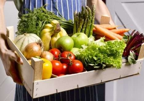 Alimentos orgânicos, hidropônicos e transgênicos: afinal, o que é melhor?