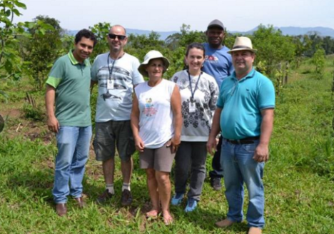 Produtores rurais investem em plantio de orgânicos