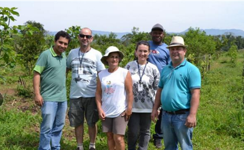 Produtores rurais investem em plantio de orgânicos