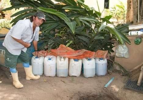 Produtor rural deixa de usar agrotóxicos e recupera solo