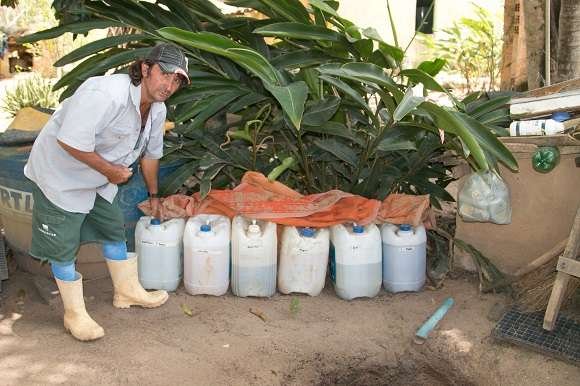 Foto: Andr&eacute; Palmeira / Ag&ecirc;ncia Alagoas