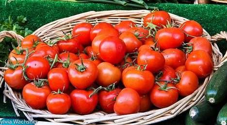 Exportação de orgânicos cresce em 2015 e chega a US$ 160 mi