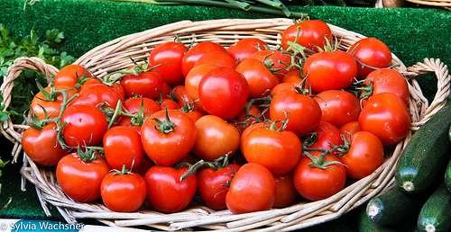 6967469315_a6bd6ed0df