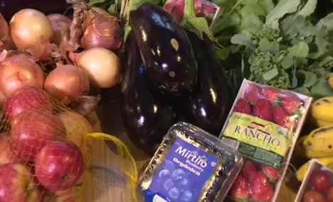 Catarinenses explicam o que são produtos orgânicos certificados