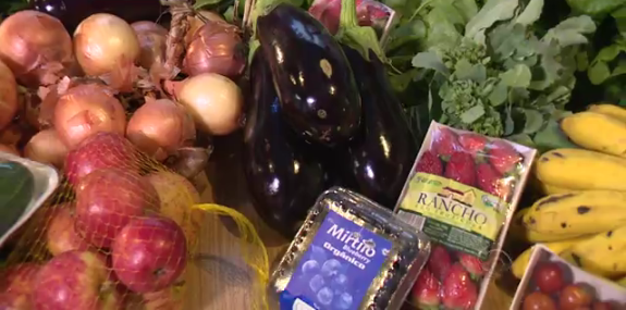 Catarinenses explicam o que são produtos orgânicos certificados