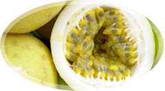 Cooperativa Agroindustrial, Coaprocor participa da Biofach em Alemanha