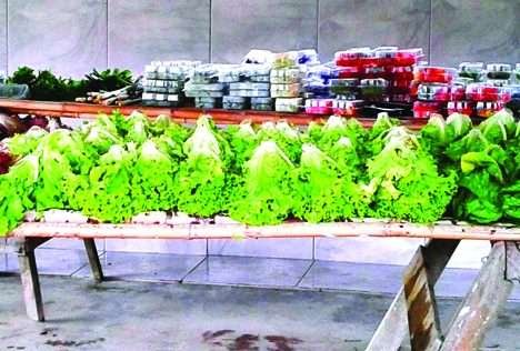 INT atua em programa de certificação orgânica para a agricultura familiar