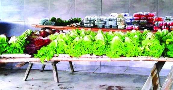 INT atua em programa de certificação orgânica para a agricultura familiar