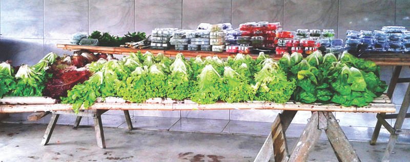 2016_02_11_organicos