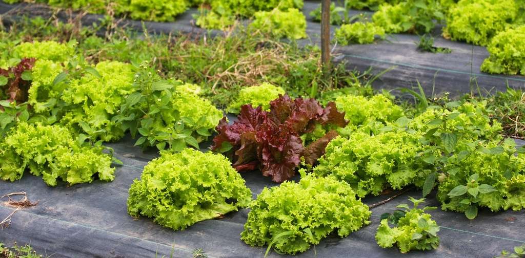 6243073361_03920dcd02_b