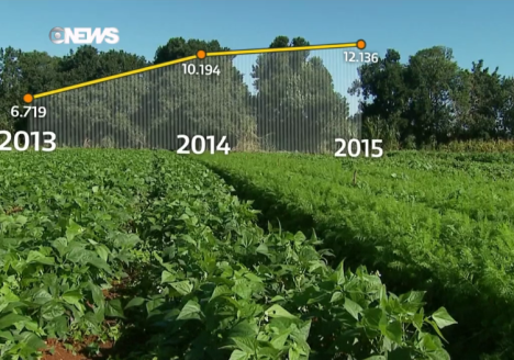 Certificação ganha força através de Campanha de Valorização da Agricultura Orgânica