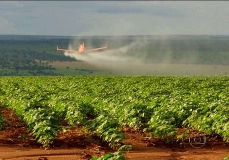 Um exército de alimentos orgânicos começa a crescer na China