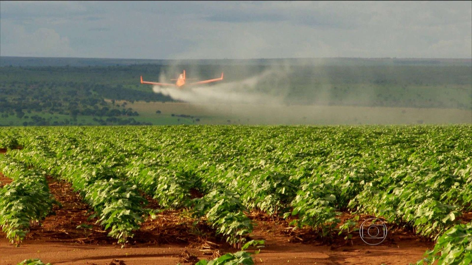Foto: Reprodu&ccedil;&atilde;o/ Globo