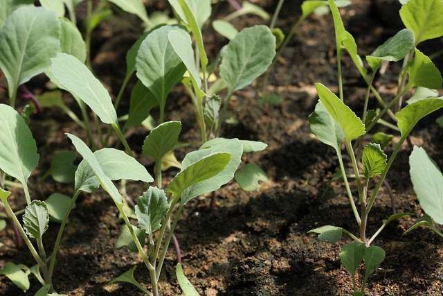 9278957104_ce70786b9b_z