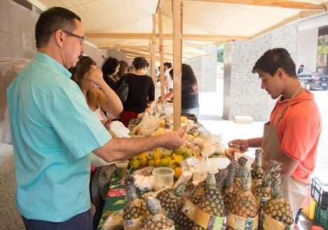 TJRJ realiza mais uma edição da Feira Orgânica nesta quinta-feira