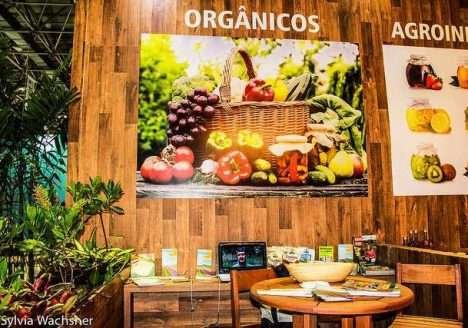 Países devem adotar diretrizes alimentares que levem em conta a sustentabilidade, diz FAO