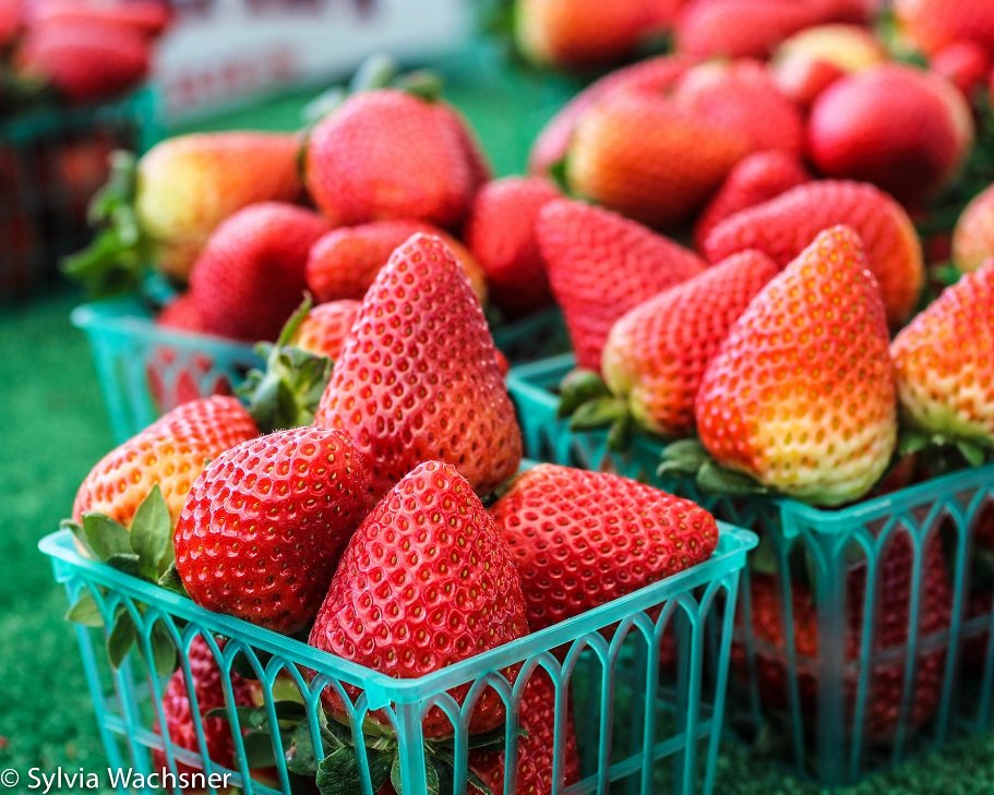 16435780530_8d57ce89d3_k