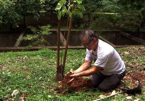 Produtor de açúcar orgânico participa do programa “Como Será?”