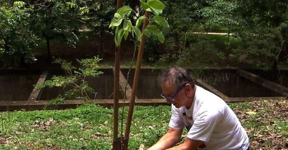 Produtor de açúcar orgânico participa do programa “Como Será?”