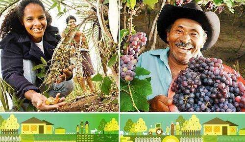 Curso de Gestão de Redes de Agroecologia: Interação para o desenvolvimento rural sustentável