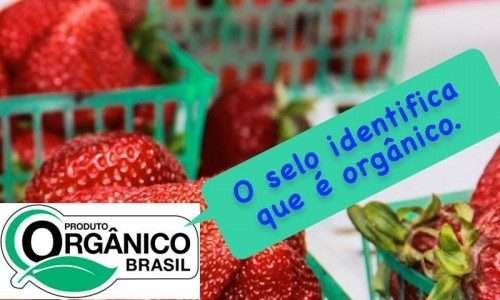 Como ter certeza se é orgânico?