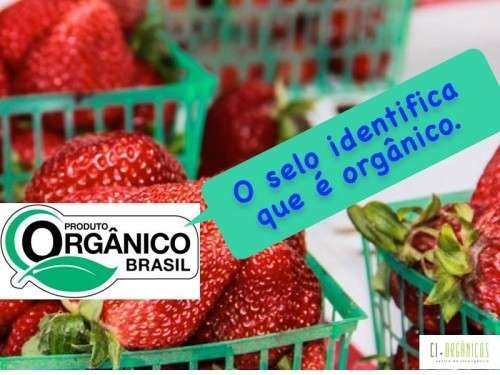 campanha ci organicos