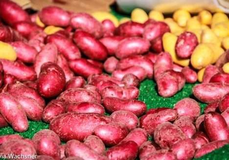 Paraná consolida-se como maior produtor nacional de orgânicos