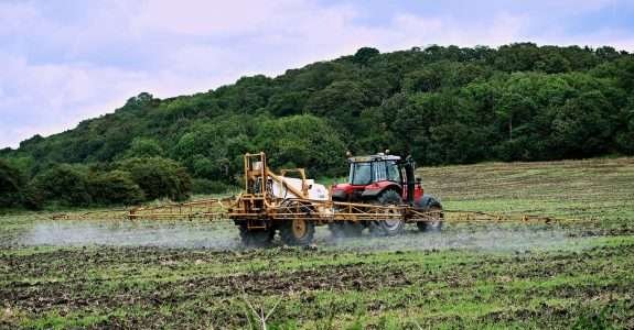 Agrotóxicos e Transgênicos: Impacto sobre a Agricultura Orgânica
