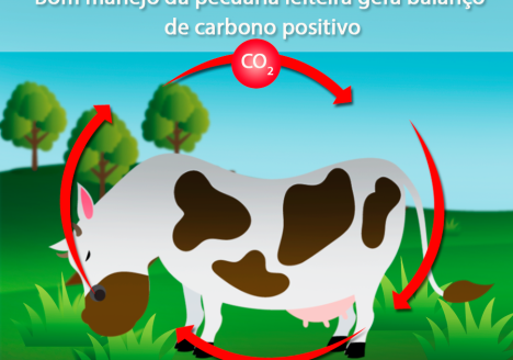 Fazendas leiteiras podem sequestrar mais gases de efeito estufa do que emitem