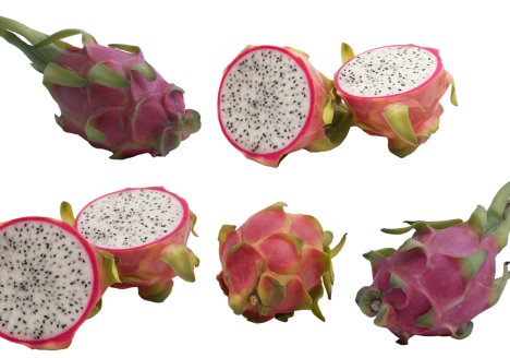 O cultivo orgânico de pitaya no sul de Santa Catarina