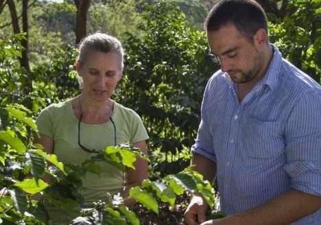 Agricultura biodinâmica: método agrícola de produção relaciona fases da lua e signos do zodíaco