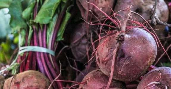 Diagnóstico Rural Participativo – DRP