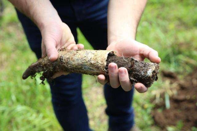 Foto: Camila Domingues/Especial/Ag&ecirc;ncia RBS 