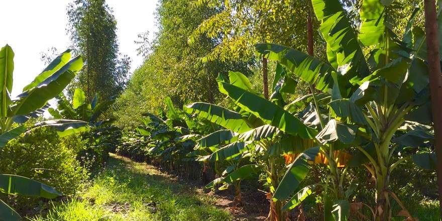 Imagem: Reprodução / Internet