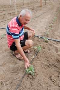 Foto: Lysi&ecirc; Santos / NotiSul