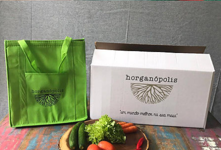 Orgânicos: cardápio saudável toda semana, sem sair de casa