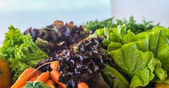 Como utilizar o Plano de Manejo Orgânico a favor do produtor