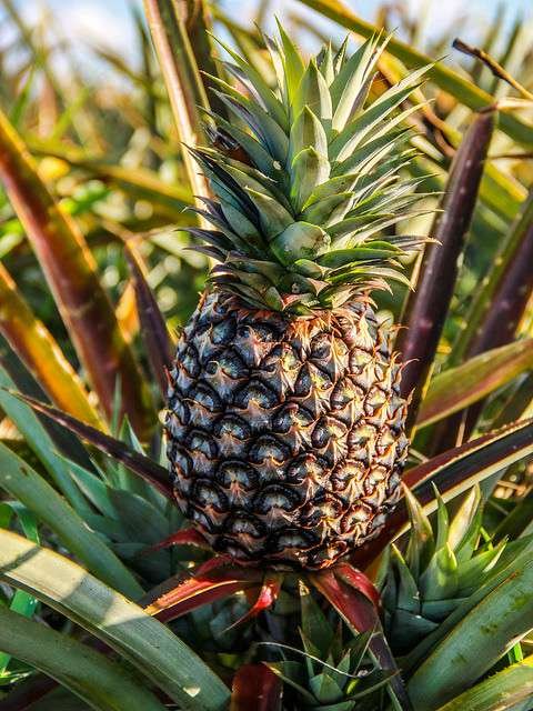 Foto: Sylvia Wachsner