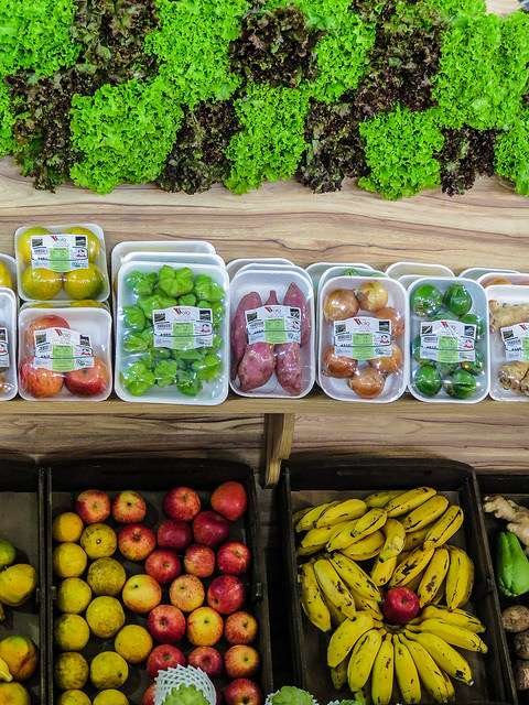 Foto: Sylvia Wachsner