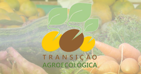 Novo site ensina como fazer a transição para a agricultura orgânica